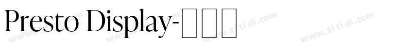 Presto Display字体转换 Presto Display字体转换